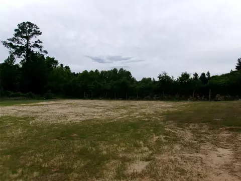 810 Williams Rd, Converse, LA 71419 photo 2