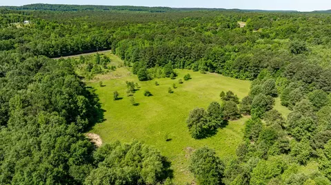 tbd Fm 557, Pittsburg, TX 75686
