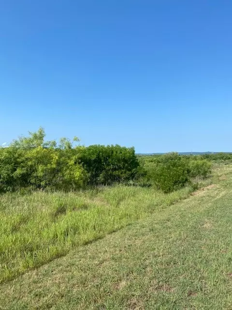 lot203 Evening Primrose Dr, Possum Kingdom Lake, TX 76449