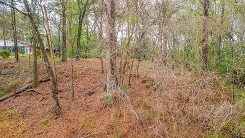 161 Fairway Dr E, Hideaway, TX 75771 photo 3