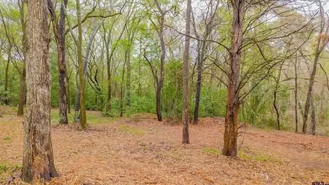 161 Fairway Dr E, Hideaway, TX 75771 photo 7