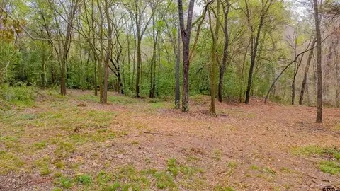 161 Fairway Dr E, Hideaway, TX 75771 photo 10