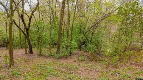 161 Fairway Dr E, Hideaway, TX 75771 photo 12