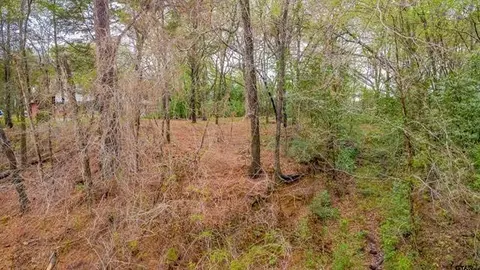 161 Fairway Dr E, Hideaway, TX 75771 photo 2