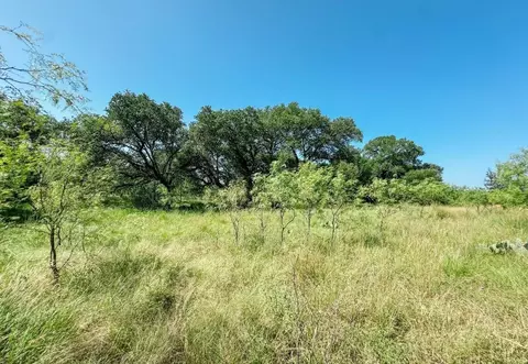 lot6 Morris Sheppard Dr, Brownwood, TX 76801