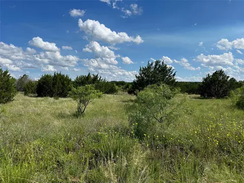 102 Sean Ln, Bangs, TX 76823 photo 3