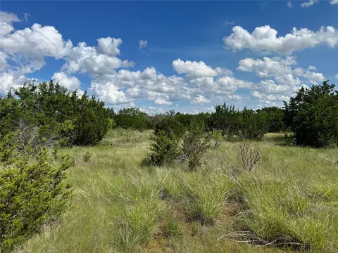 102 Sean Ln, Bangs, TX 76823 photo 2