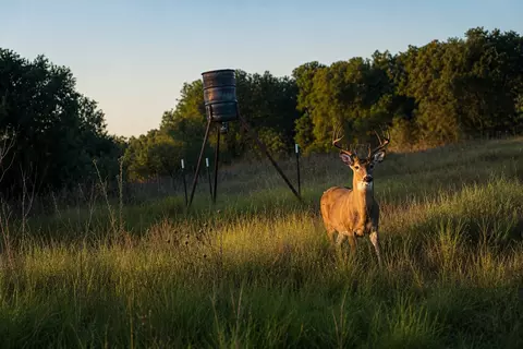 1343 County Road 188, Cross Plains, TX 76443