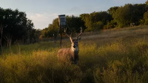 1343 County Road 188, Cross Plains, TX 76443