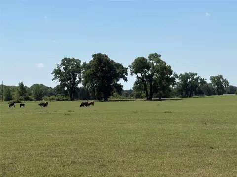2966 Highway 679, Gorman, TX 76454