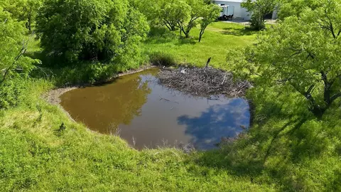 View/Area - 6000 Jackson Rd, Krum, TX 76249 photo 5 of 6