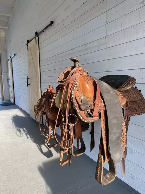 5656 County Road 1094, Celeste, TX 75423 photo 9
