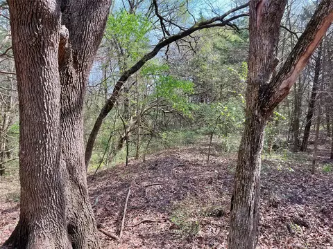 9999 Fm 2645, Ector, TX 75439 photo 14