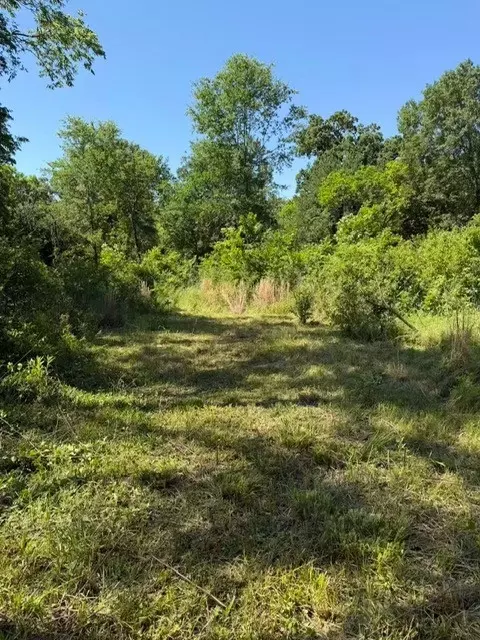 0 Forrester St, Greenville, TX 75401
