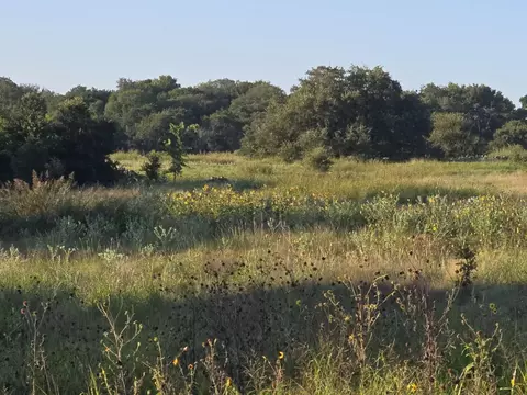 165 Guadalupe Dr, Oglesby, TX 76561