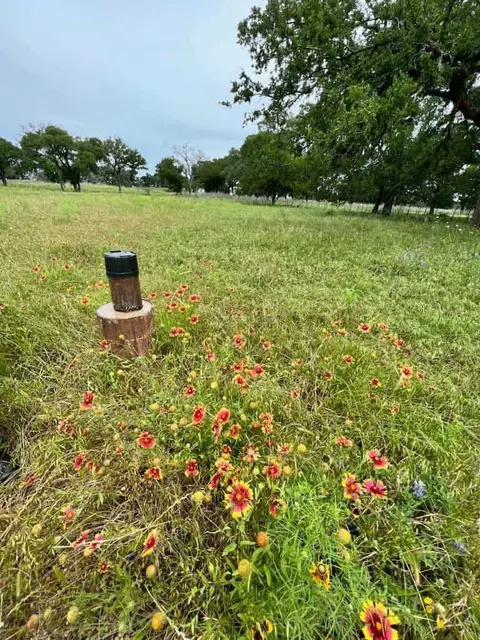 317 Yellowstone Dr, Oglesby, TX 76561