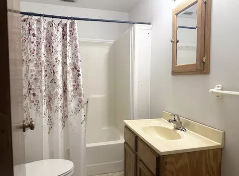 Bath - 210 Whispering Pines Trl, Minden, LA 71055 photo 3 of 3