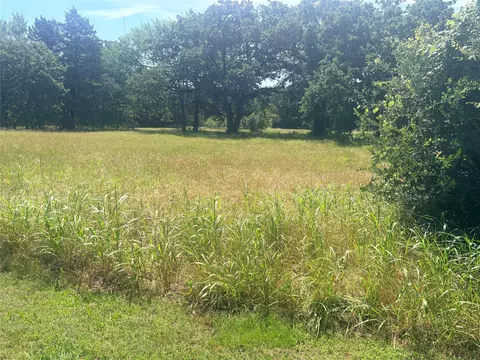 lot73 Sombrilla, Kerens, TX 75144