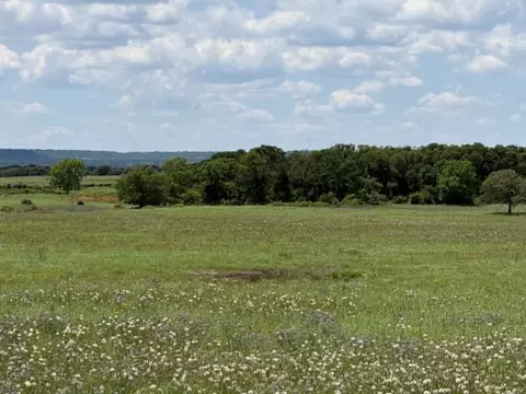 3068 Highway 36, Comanche, TX 76442 photo 14