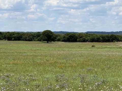 3068 Highway 36, Comanche, TX 76442 photo 11