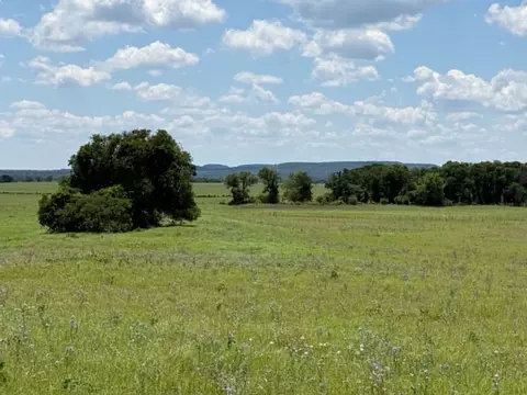 3068 Highway 36, Comanche, TX 76442 photo 33