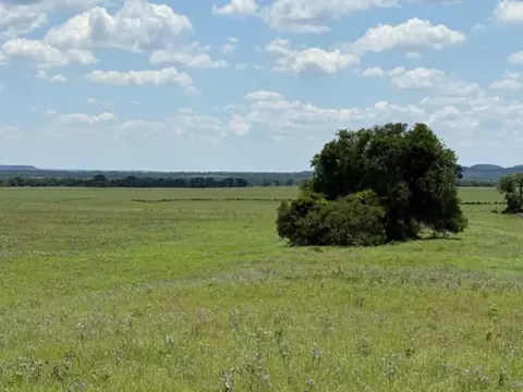3068 Highway 36, Comanche, TX 76442 photo 18