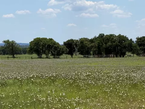 3068 Highway 36, Comanche, TX 76442 photo 34