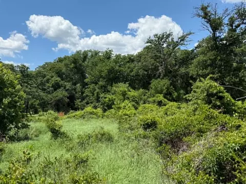 3068 Highway 36, Comanche, TX 76442 photo 38