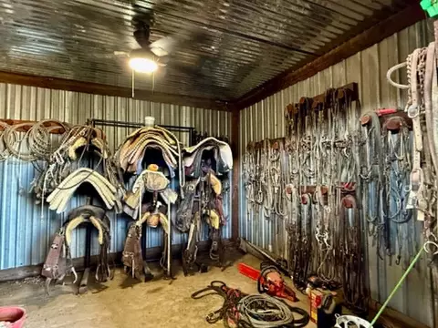3068 Highway 36, Comanche, TX 76442 photo 3