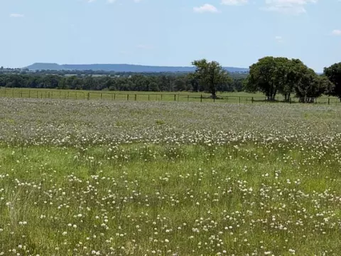 3068 Highway 36, Comanche, TX 76442 photo 15
