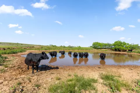 tbd Dutton, Ringgold, TX 76261