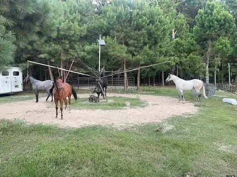 Other - 8261 County Road 381, Tyler, TX 75708 photo 9 of 13