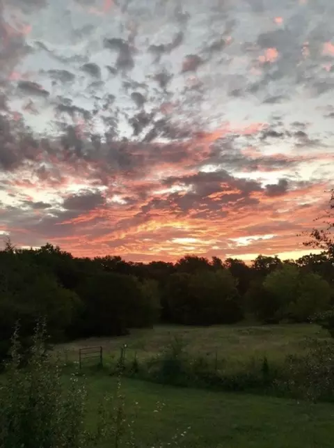 tbd County Road 2320, Terrell, TX 75160
