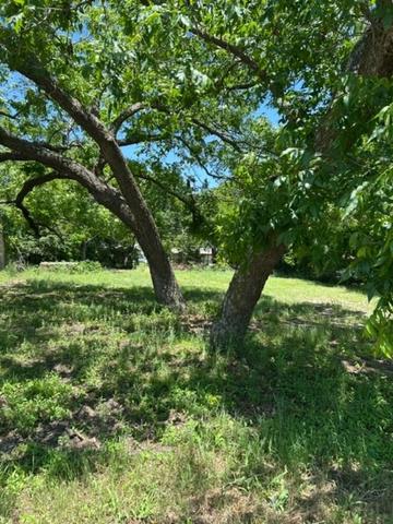 116 W Walnut St, Whitewright, TX 75491