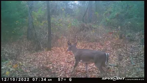 tbd County Road 2415, Honey Grove, TX 75446