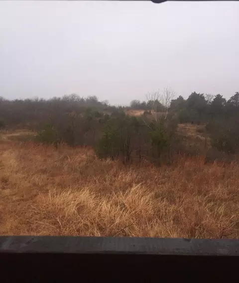 tbd County Road 103, Whitesboro, TX 76273