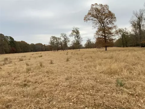Other - 1 W Harrison Rd, Longview, TX 75604 photo 3 of 12