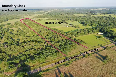 Tract 13 Fm 1366, Wortham, TX 76693