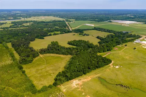 13888 Fm 556, Pittsburg, TX 75686
