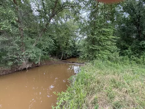 tbd Hwy 259, Diana, TX 75640