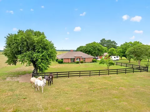 1401 Vz County Road 3411, Wills Point, TX 75169