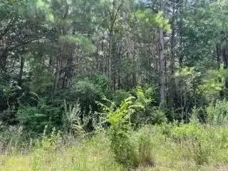 lot4 Fm 556, Pittsburg, TX 75686