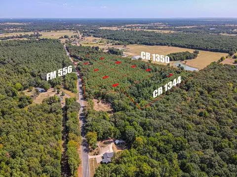 lot7 Fm 556, Pittsburg, TX 75686