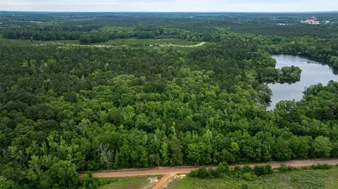 0 Victory School Rd, Avinger, TX 75630