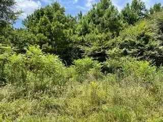 lot10 Fm 556, Pittsburg, TX 75686