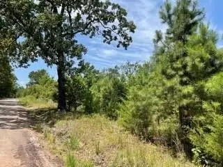 lot11 Fm 556, Pittsburg, TX 75686