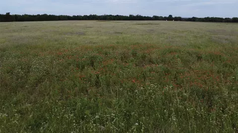 0000 S Hampton Rd, Oak Leaf, TX 75154 photo 14