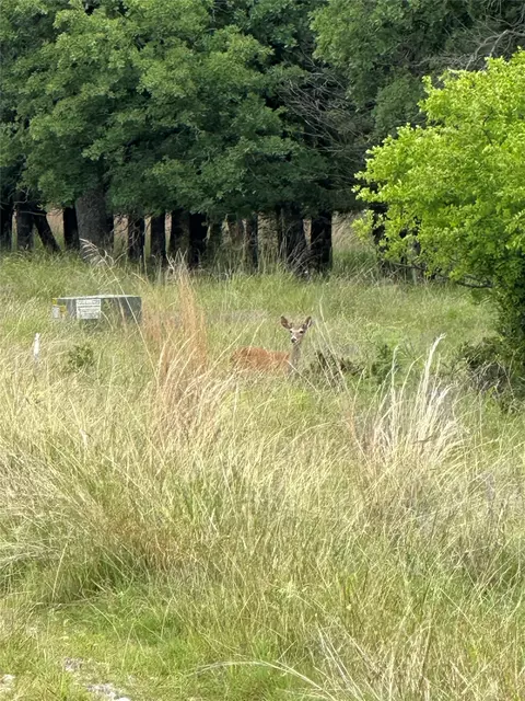 lot237 Vista Pointe Dr, Chico, TX 76431