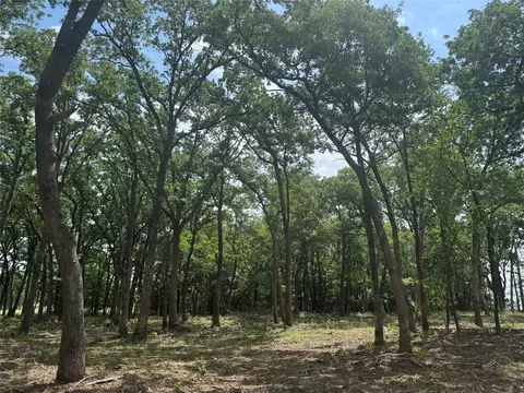 1216 Buck Trl, Pottsboro, TX 75076