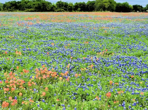 lot2 Private Road 425, Hillsboro, TX 76645